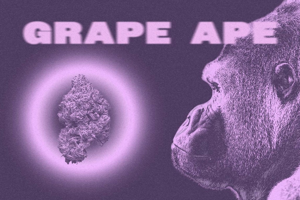Grape Ape: Una varietà deliziosa e rilassante