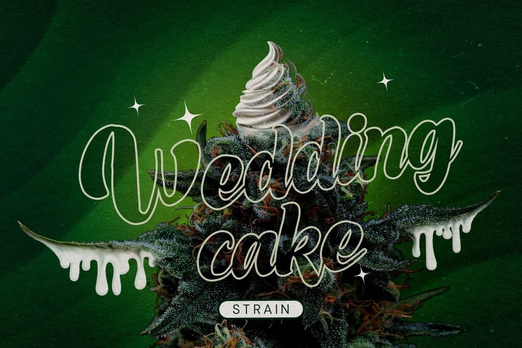 Wedding Cake: Recensione della varietà