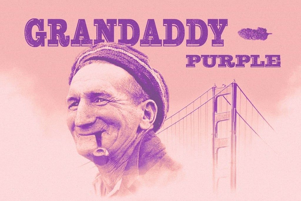 Granddaddy Purple: Una leggendaria varietà rilassante