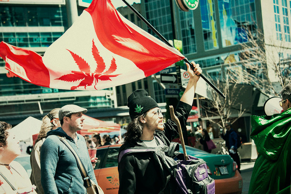 Cannabis Legale in Canada: Un Anno Dopo (aggiornamento 2020)