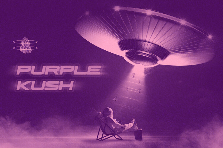 Purple Kush: Un'indica originaria delle montagne dell'Hindu Kush