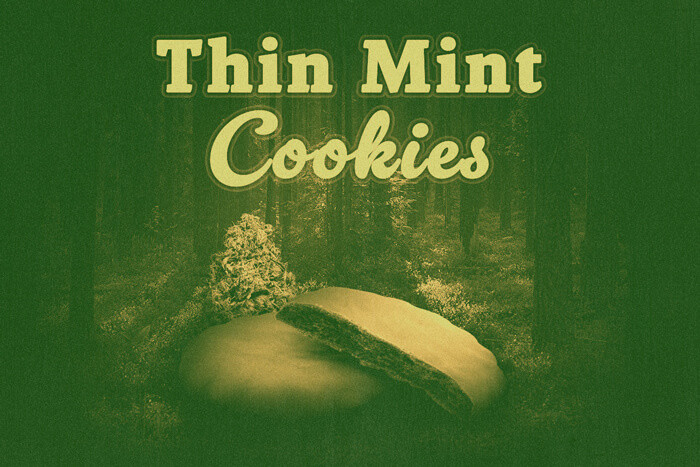 Thin Mint Cookies: Una GSC dalle qualità superiori