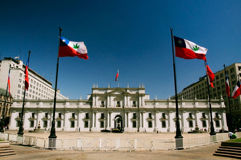 La cannabis in Chile