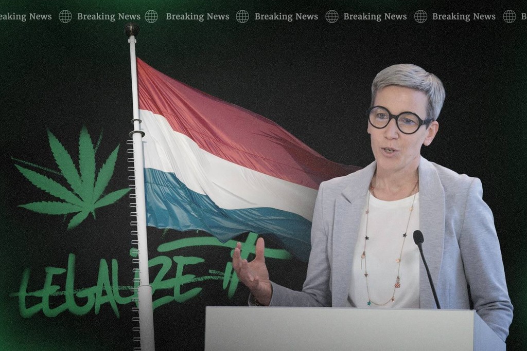 Riforma sulla cannabis: Il Lussemburgo legalizza la coltivazione domestica