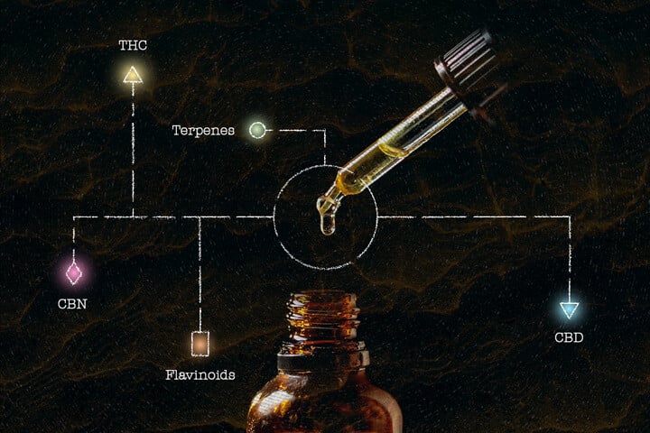 Cos’è l'olio di cannabis a spettro completo (FECO)?