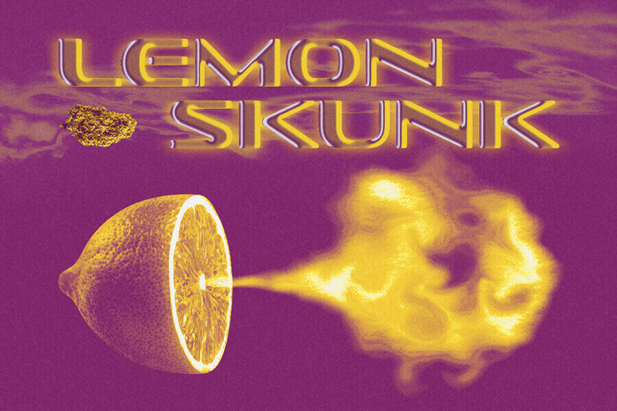 Lemon Skunk: Un'esplosione di note agrumate ed effetti rilassanti