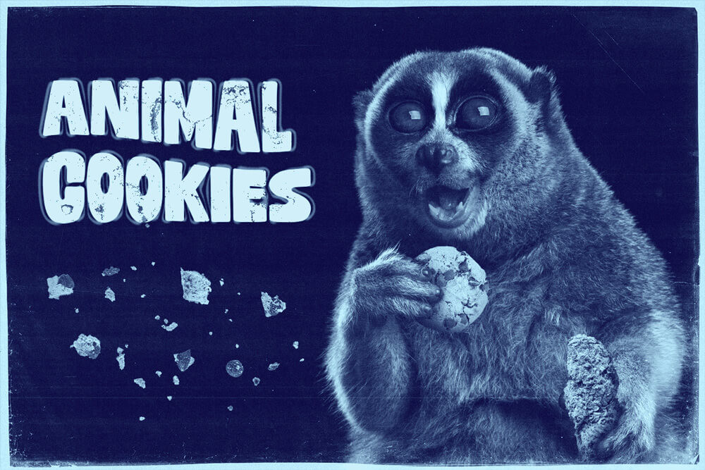 Animal Cookies: Uno degli ibridi più saporiti del mercato