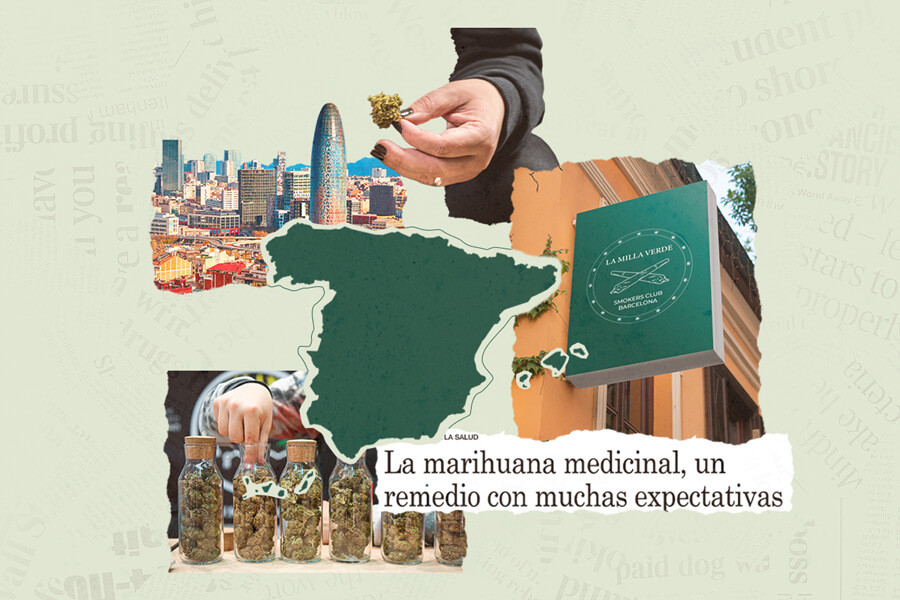 Status giuridico della cannabis in Spagna: Quello che devi sapere