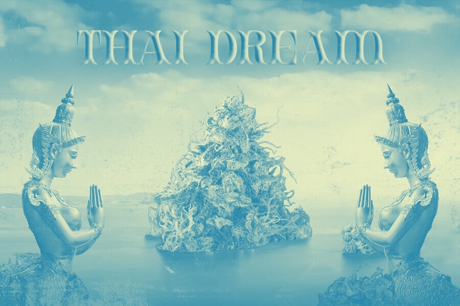 Thai Dream: Vivi uno sballo mentalmente lucido