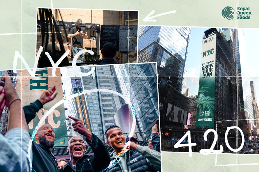 RQS festeggia il 420 in grande stile con Mike Tyson