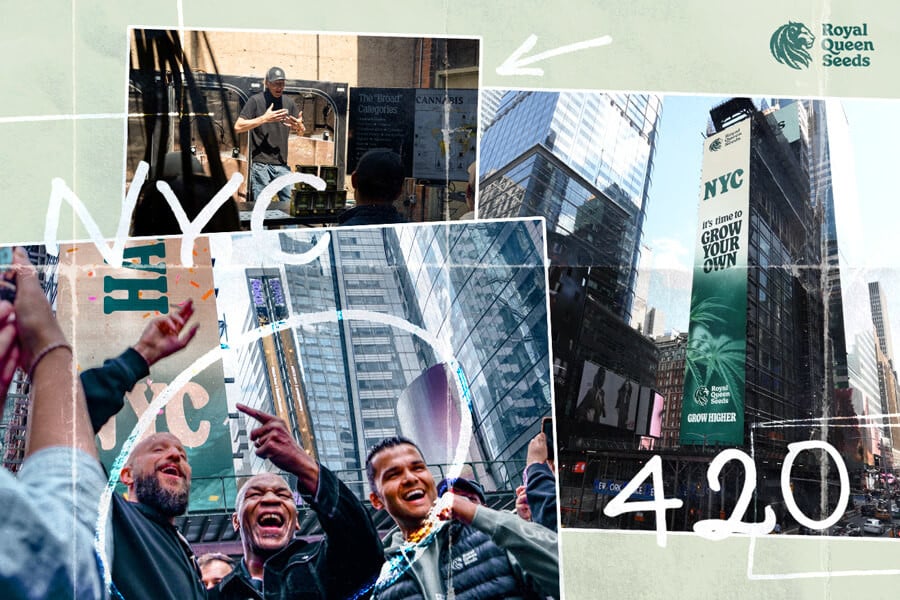 RQS festeggia il 420 in grande stile con Mike Tyson