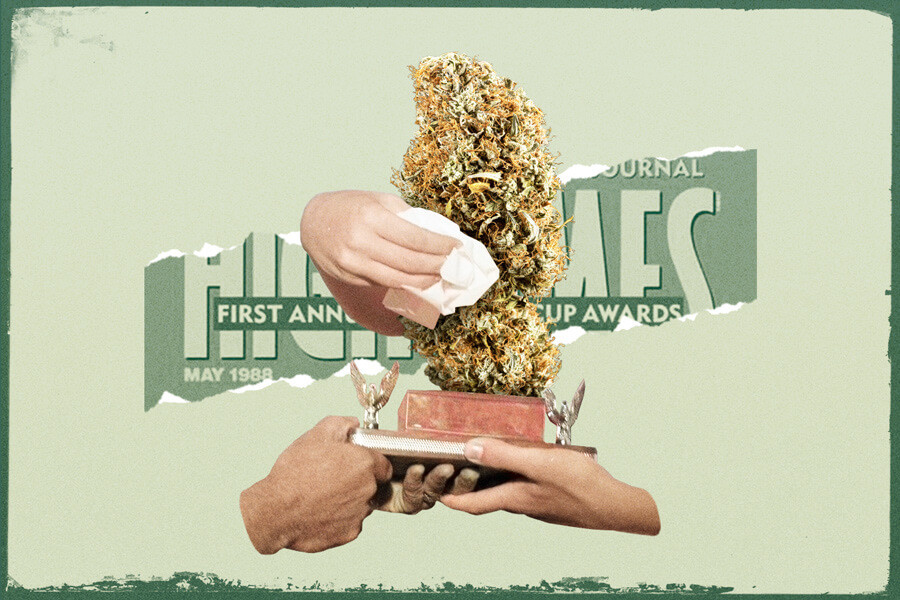 Cannabis Cup: Passato, presente e futuro