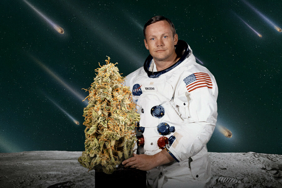 Si può coltivare cannabis nello spazio?