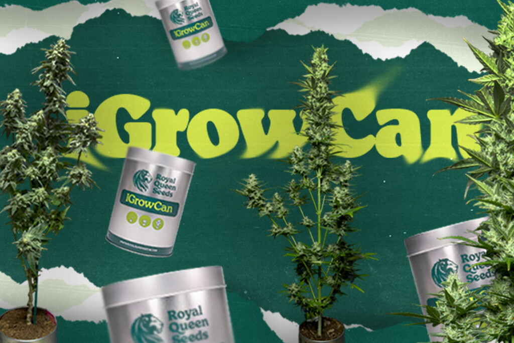 Scoprite iGrowCan: Il modo più semplice per iniziare a coltivare cannabis