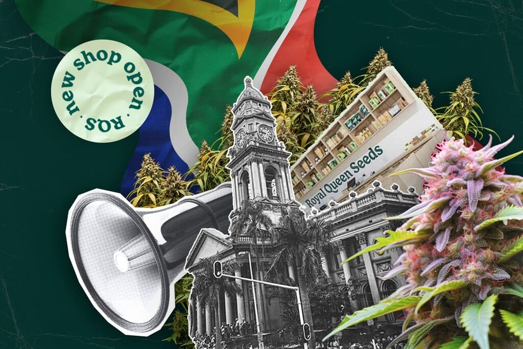 Royal Queen Seeds apre il suo primo negozio a Durban, portando in Sudafrica la qualità dei suoi semi di cannabis
