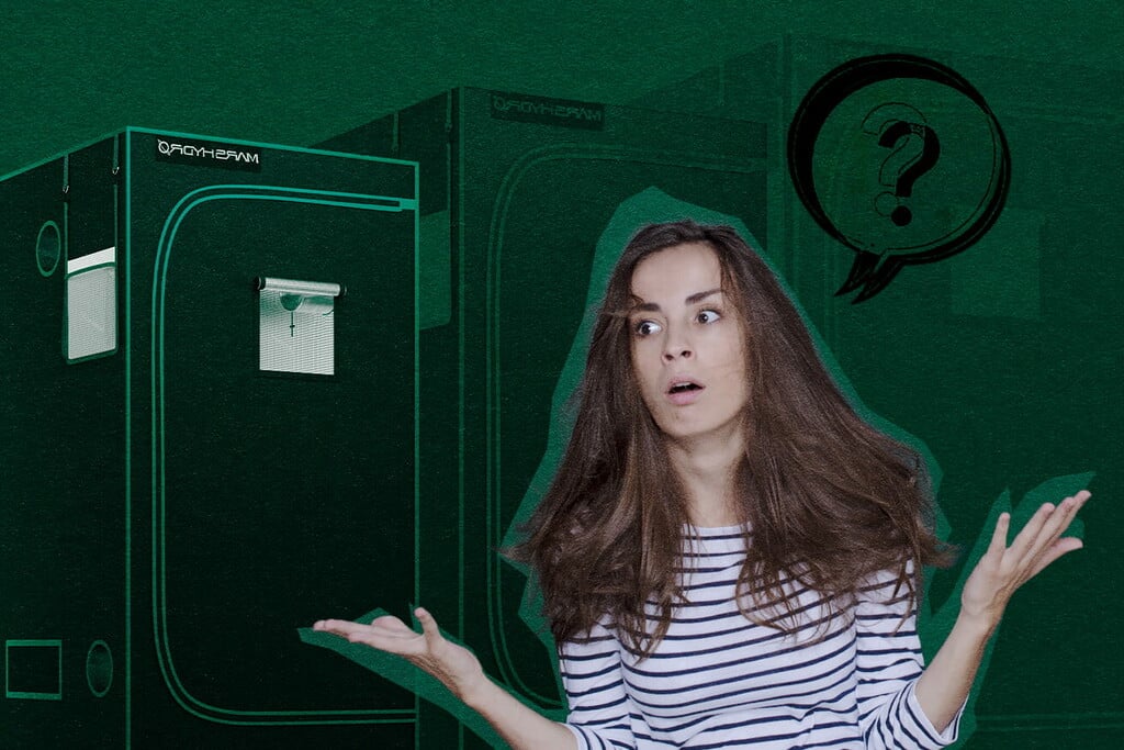 Di cosa hai bisogno per coltivare indoor con un grow box?