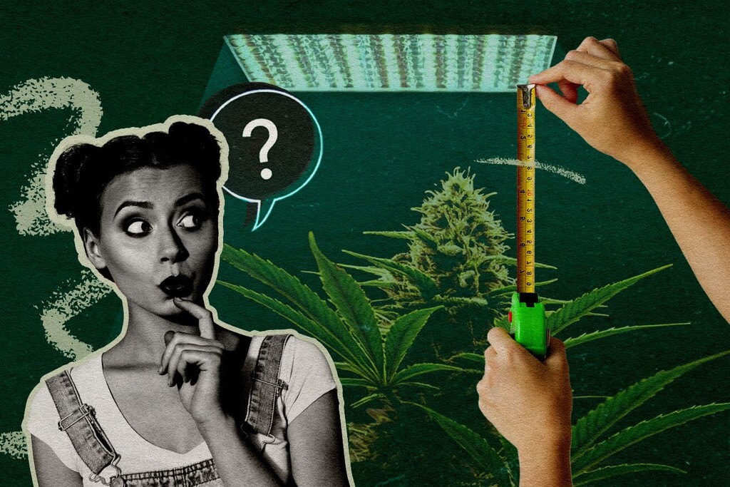 Qual è la distanza corretta tra le lampade a LED e le piante nelle diverse fasi di crescita?