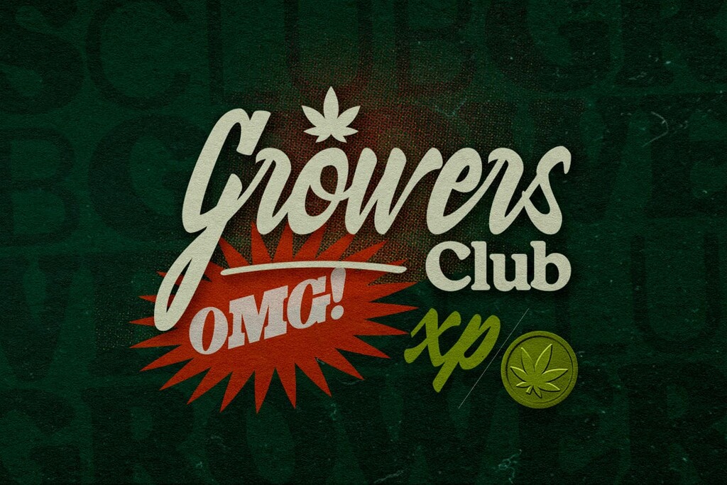Coltiva i tuoi vantaggi: Scopri il Growers Club di RQS