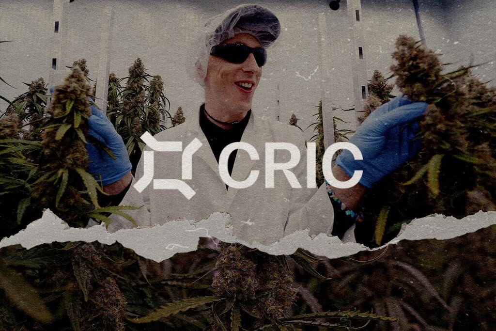 CRIC Labs | Conversazioni sulla cannabis