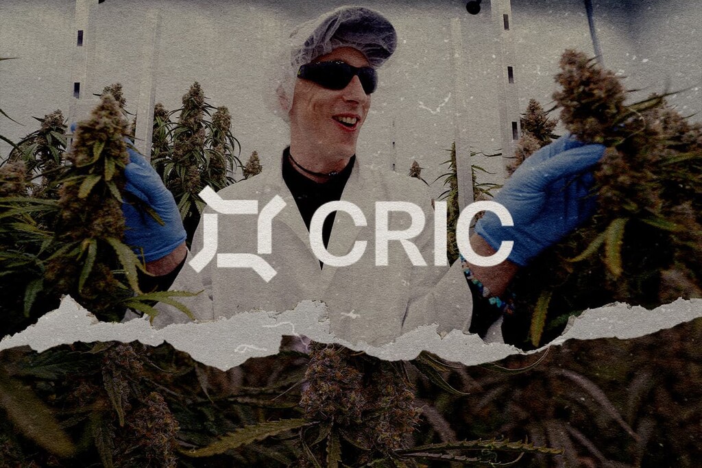 CRIC Labs | Conversazioni sulla cannabis