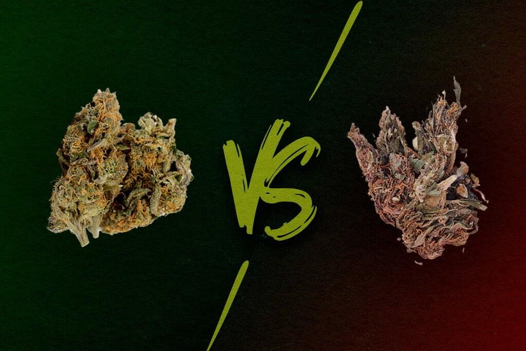 Cannabis buona e cannabis scadente: Cos'è l'erba reggie, mid e loud?