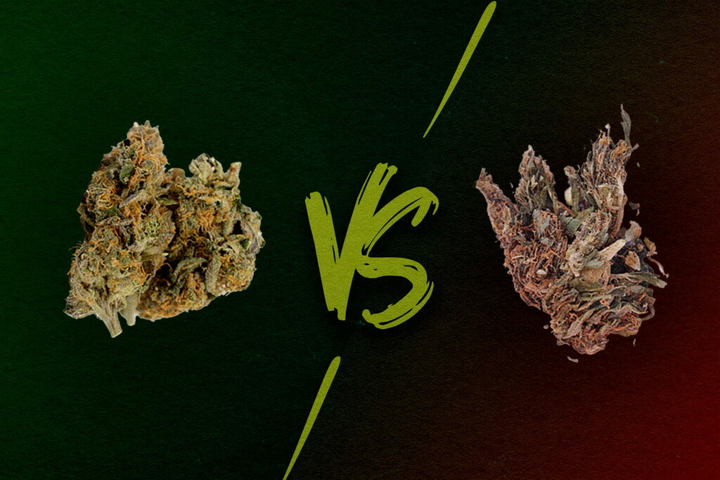 Cannabis buona e cannabis scadente: Cos'è l'erba reggie, mid e loud?