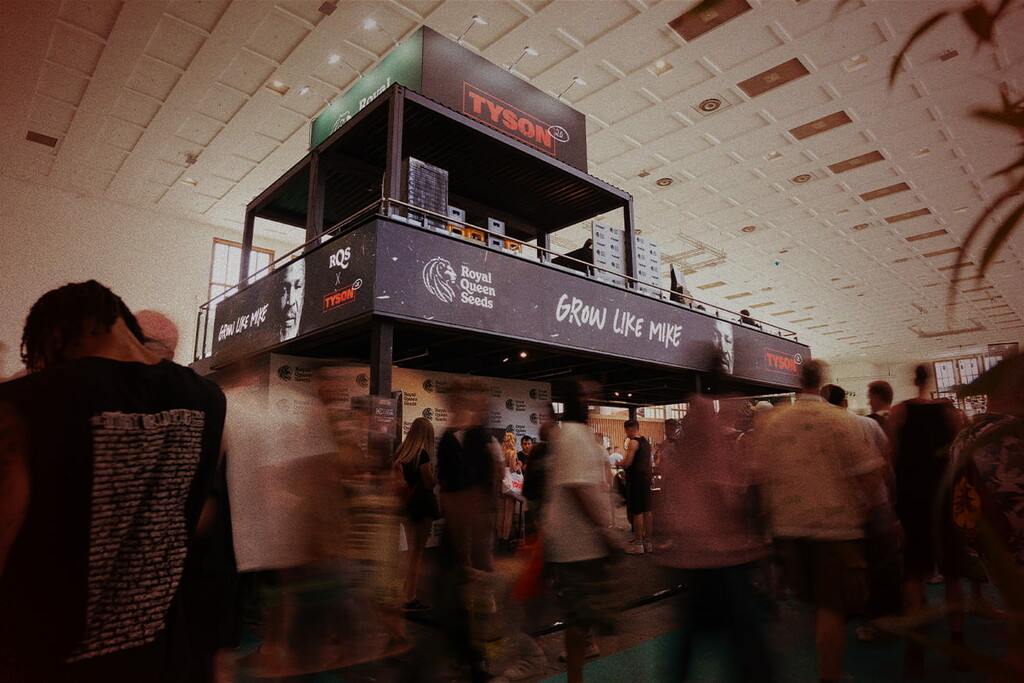 Mike Tyson x RQS al Mary Jane 2025 - Una fumata leggendaria