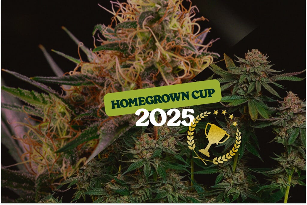 Royal Queen Seeds sul podio alla HomeGrown Cup 2025
