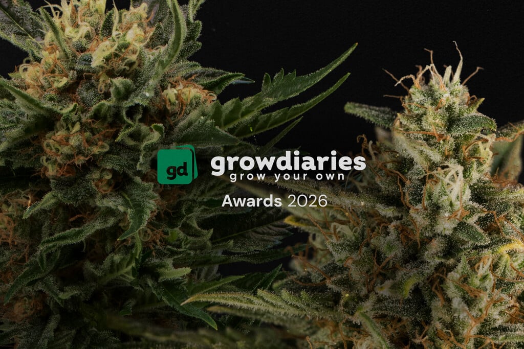 Royal Queen Seeds vince 4 titoli importanti ai GrowDiaries Awards 2026