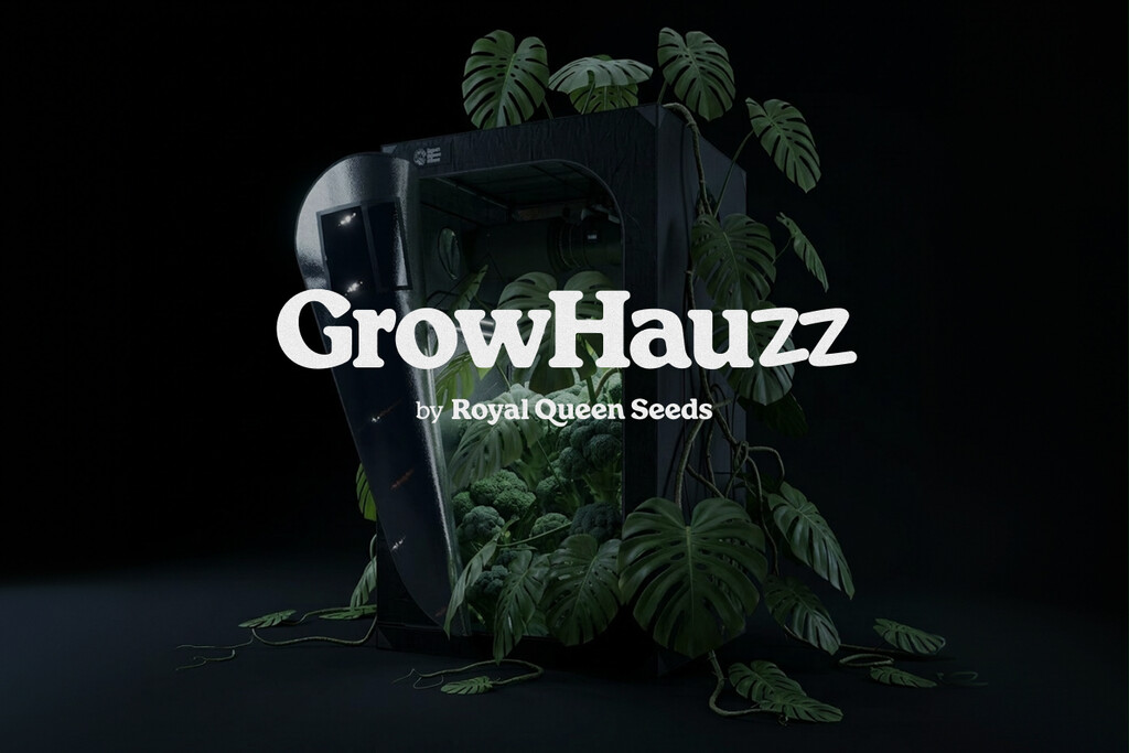 RQS sta crescendo: Presentiamo GrowHauzz