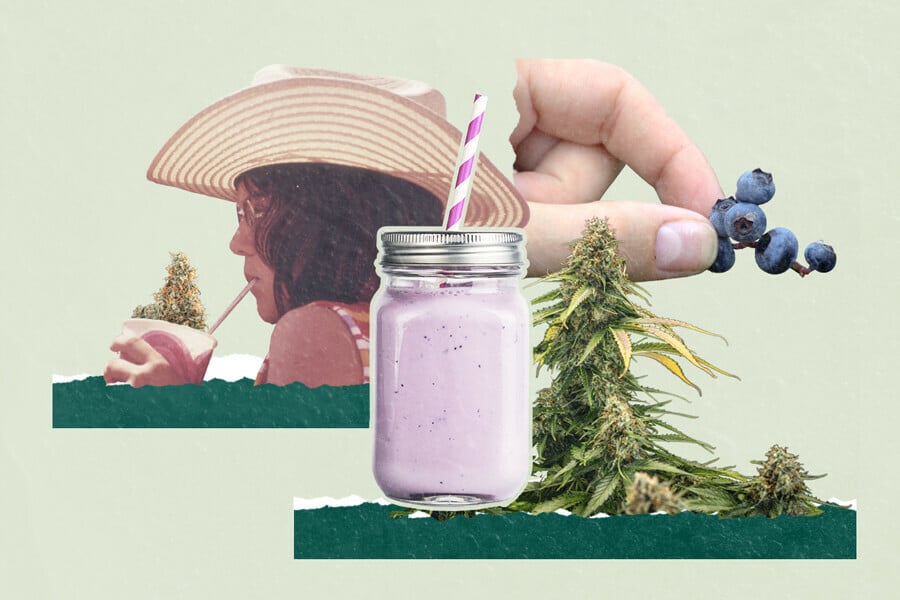 Frullato di mirtilli e cannabis: 3 ricette originali
