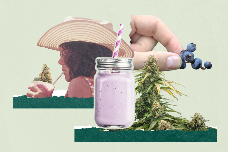 Frullato di mirtilli e cannabis: 3 ricette originali