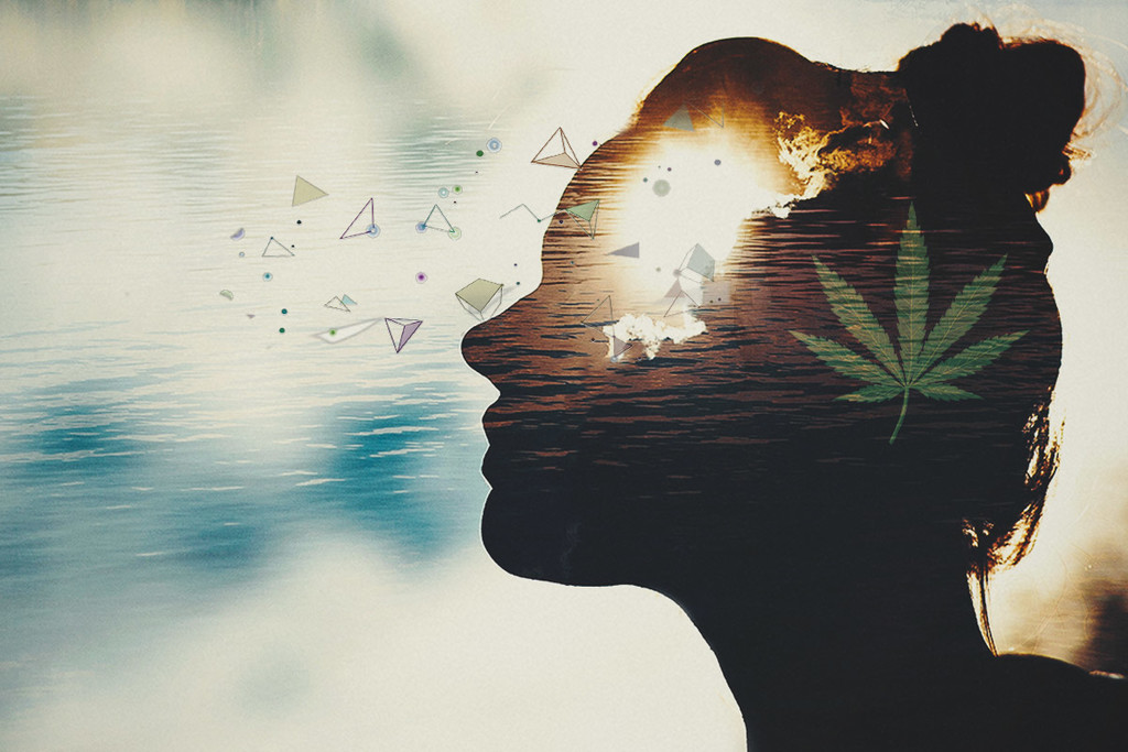 La cannabis riduce il quoziente intellettivo?