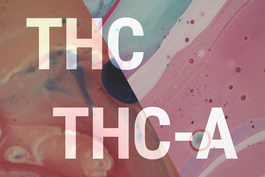 THCA e THC: Qual è la Differenza?