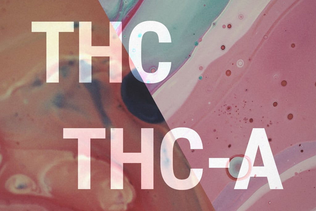 THCA e THC: Qual è la Differenza?