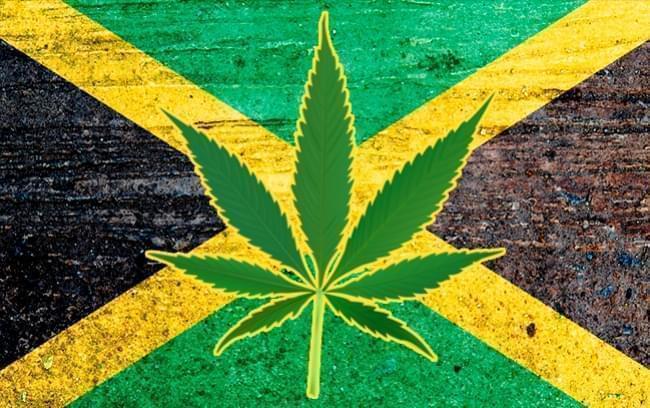 La Depenalizzazione della Cannabis in Giamaica Apre la Strada al Settore Turistico dell'Erba