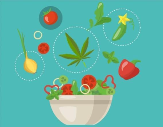 Genuini Alimenti a base di Marijuana - Guacamole alla Cannabis