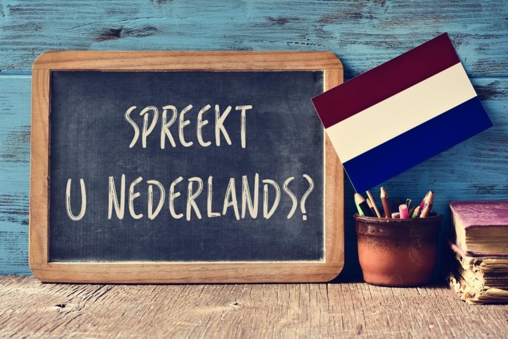 Stiamo Cercando Un Traduttore Olandese!