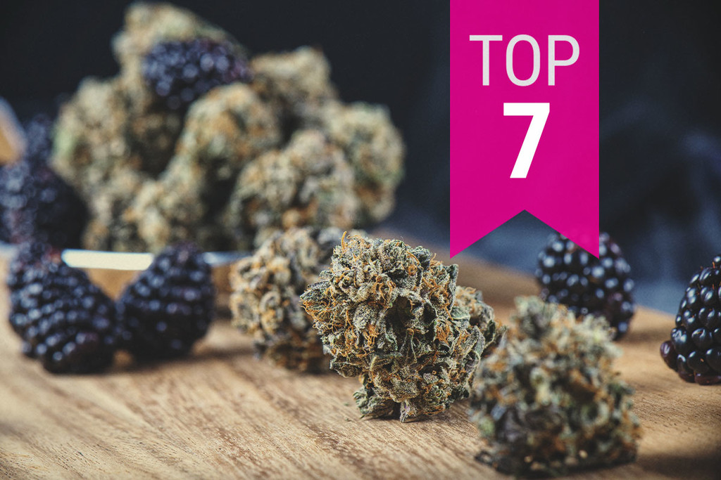 Migliori Varietà Di Marijuana Aromatizzate alla Frutta