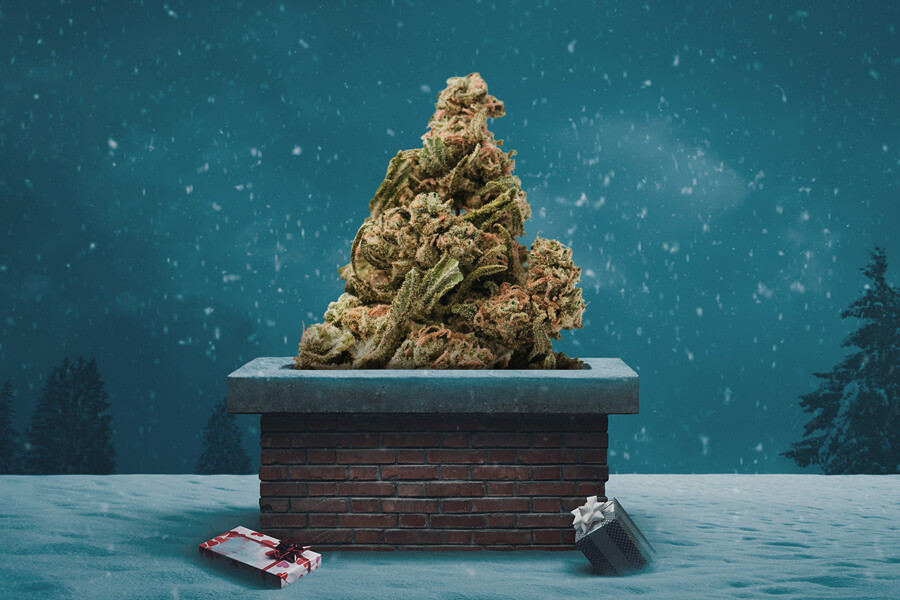 Le Migliori Varietà di Cannabis per il Natale 2020