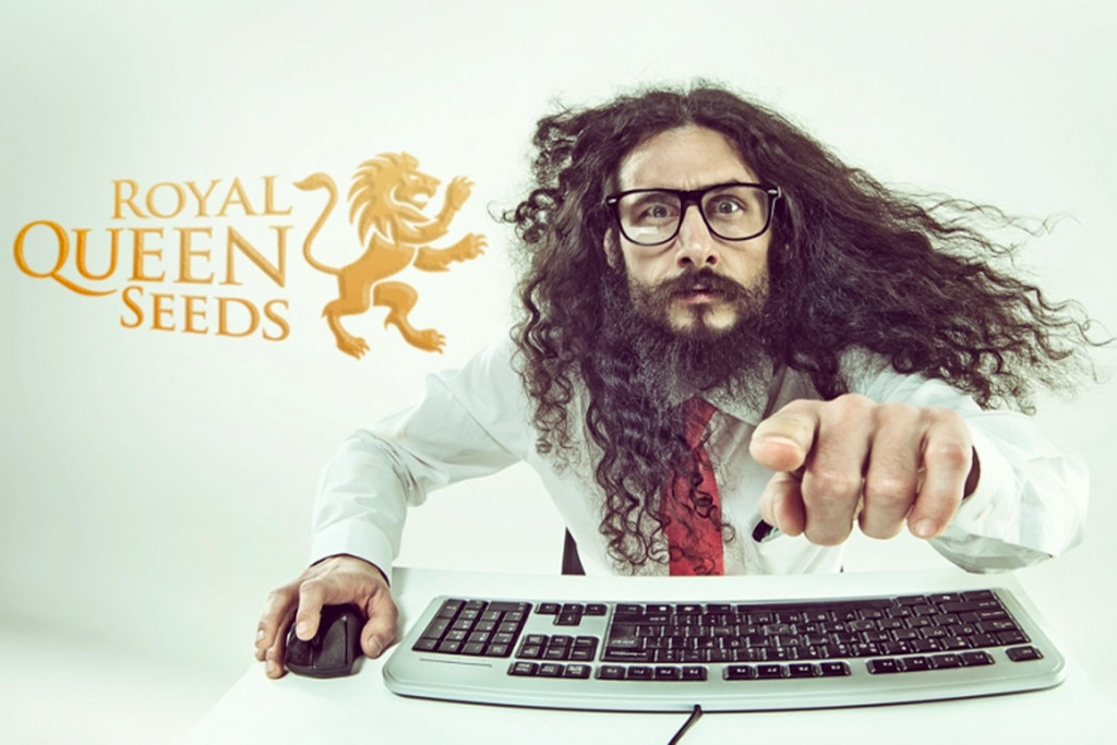 Si Cercano Traduttori In Ceco, Polacco, Ungherese, Svedese, Finlandese E Russo!