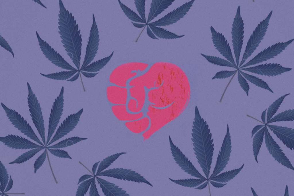 La relazione tra consumo di cannabis e violenza domestica