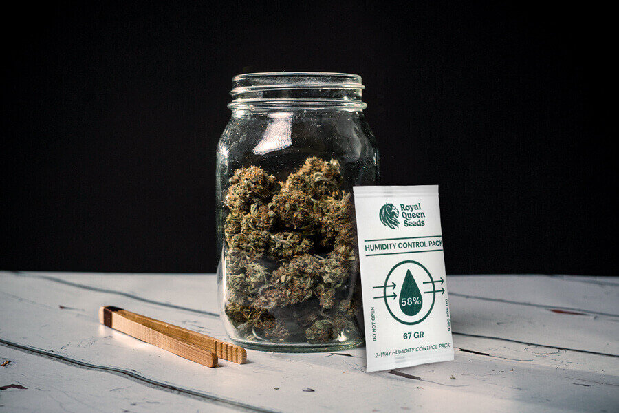 Come evitare la muffa durante l'essiccazione e la concia della cannabis
