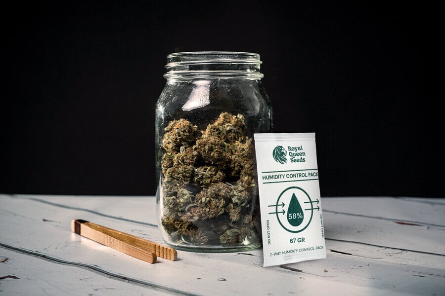 Come evitare la muffa durante l'essiccazione e la concia della cannabis