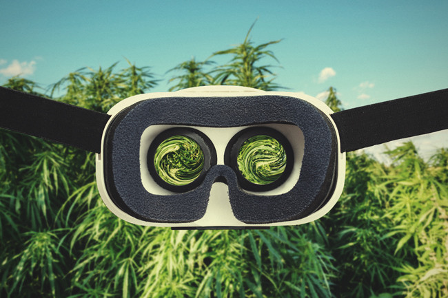 Gadget Utili Per La Coltivazione Della Cannabis
