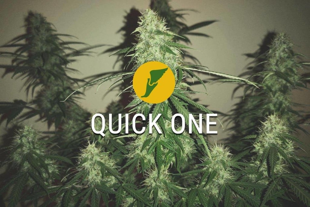 Quick One: La Prima a Tagliare il Traguardo