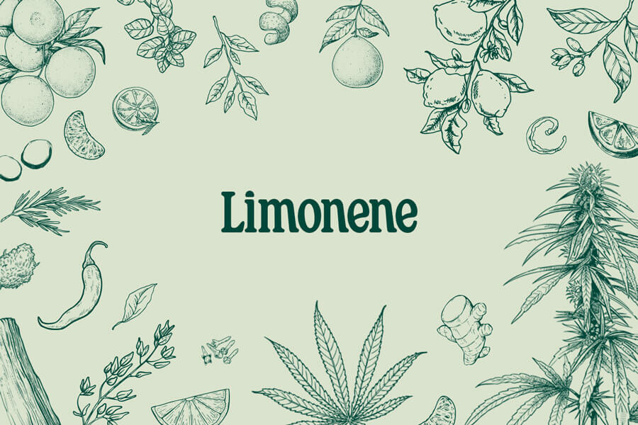 Limonene: Un Terpene Terapeutico, Ricreativo e Profumato