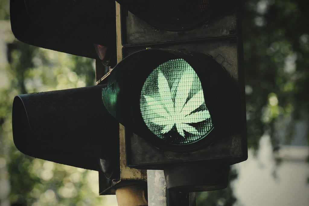 10 Motivi Per Cui la Cannabis Dovrebbe Essere Legale nel Mondo