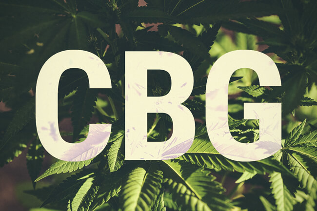 Cos'è il Cannabigerolo (CBG)?