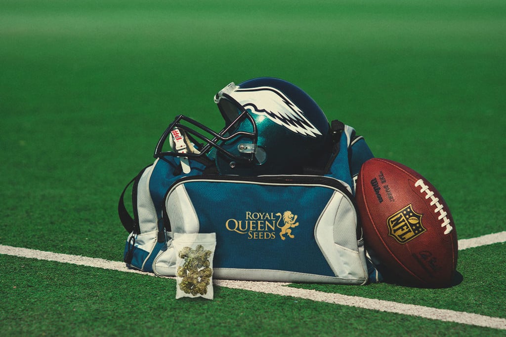 Marijuana medicinale nell'NFL: Ricerca & benefici per i giocatori